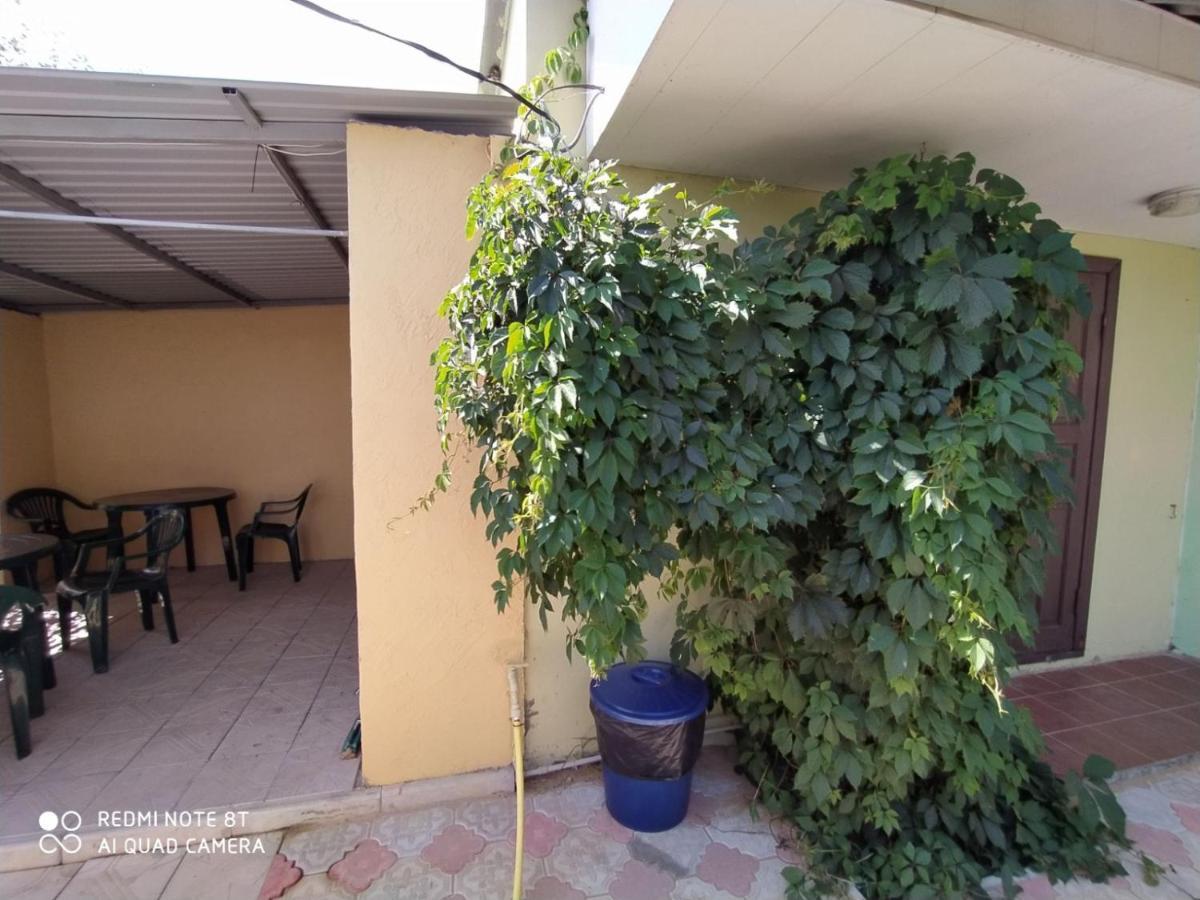 Small Guest House Lazurne Dış mekan fotoğraf